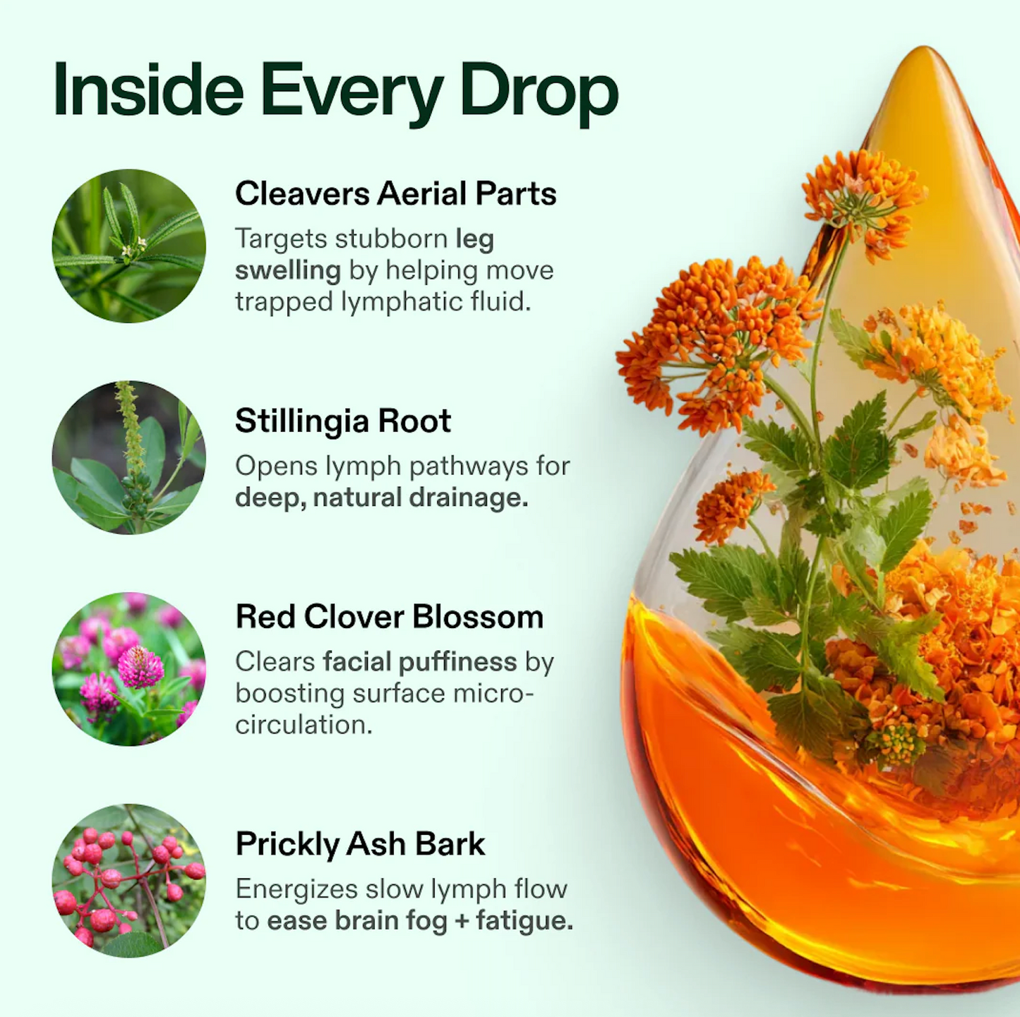 Klyren lymphatic drainage