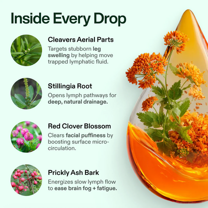 Klyren lymphatic drainage